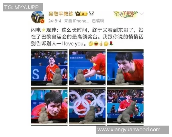 吴敬平首次点评樊振东全运会战术表现引发热议