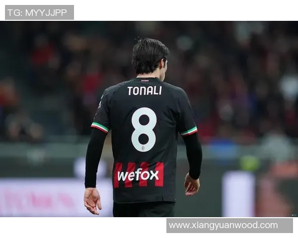 托纳利因伤缺席世预赛将返回纽卡进行康复治疗