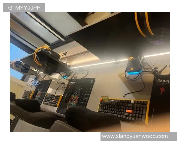 电竞法律的挑战与应对策略探讨：构建健康有序的电竞生态环境